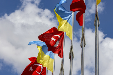 Government Supports Draft Law On Ratification Of Free Trade Agreement With Turkey